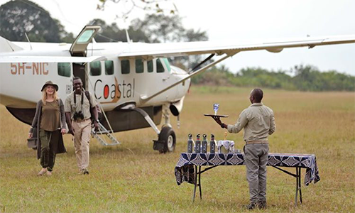 Fly direct to Serengeti Safari from Zanzibar for 4 days